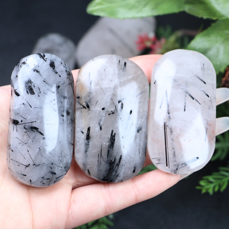 1pc Natural Decorative Palm Ra - Office Furniture In China ulasan dan harga
